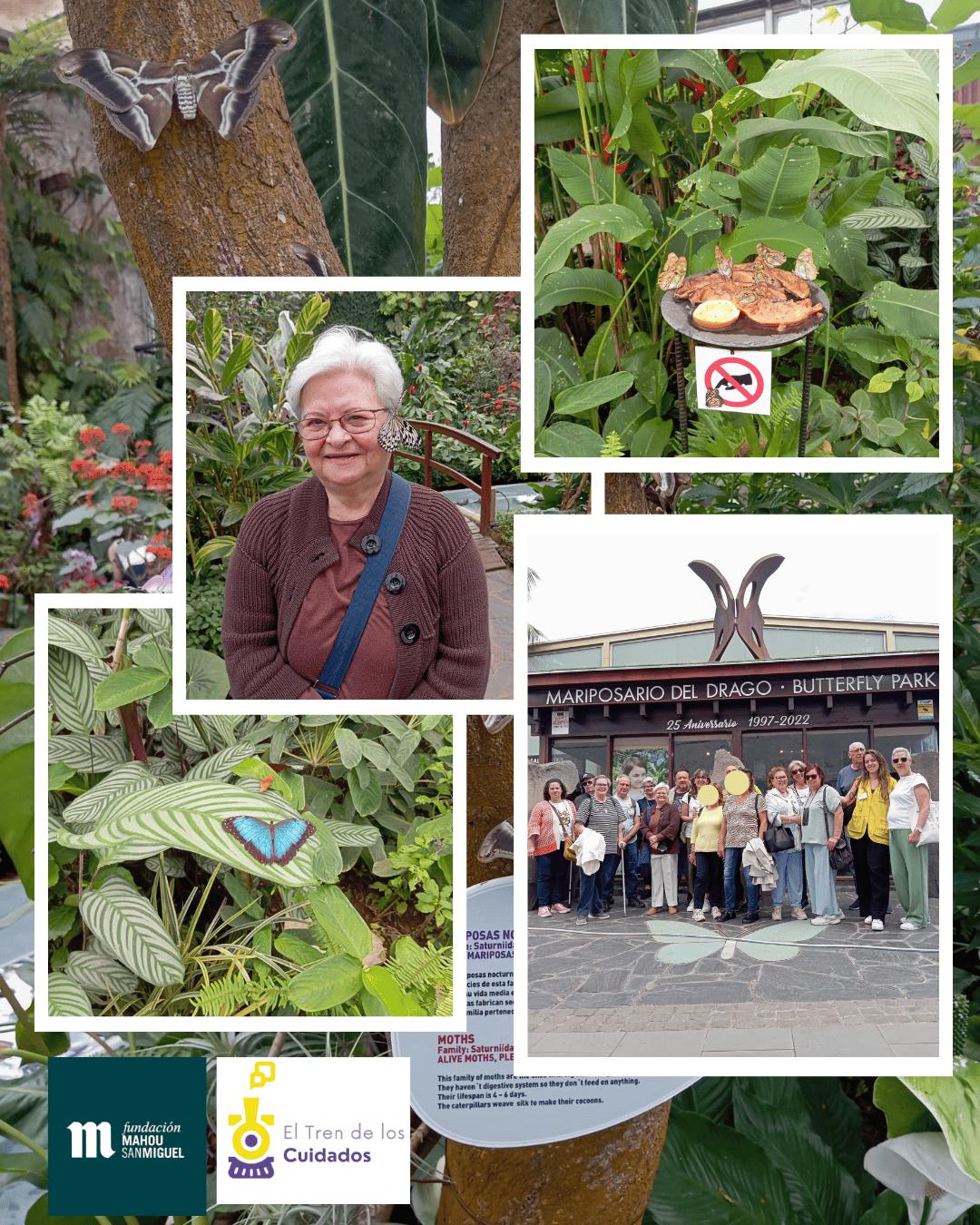 Visita al mariposario de Icod de los Vinos