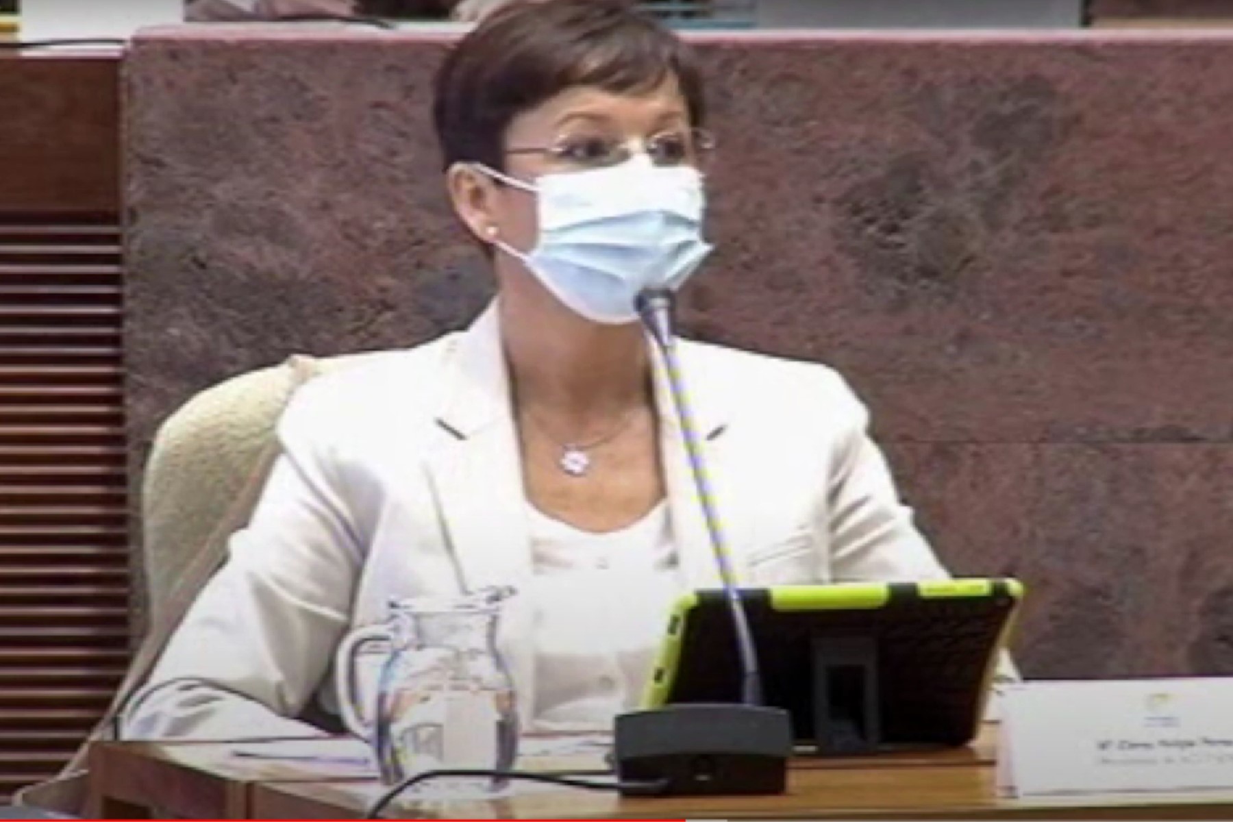 Intervención de Elena Felipe en el Parlamento de Canarias en 2020